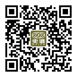 公众号